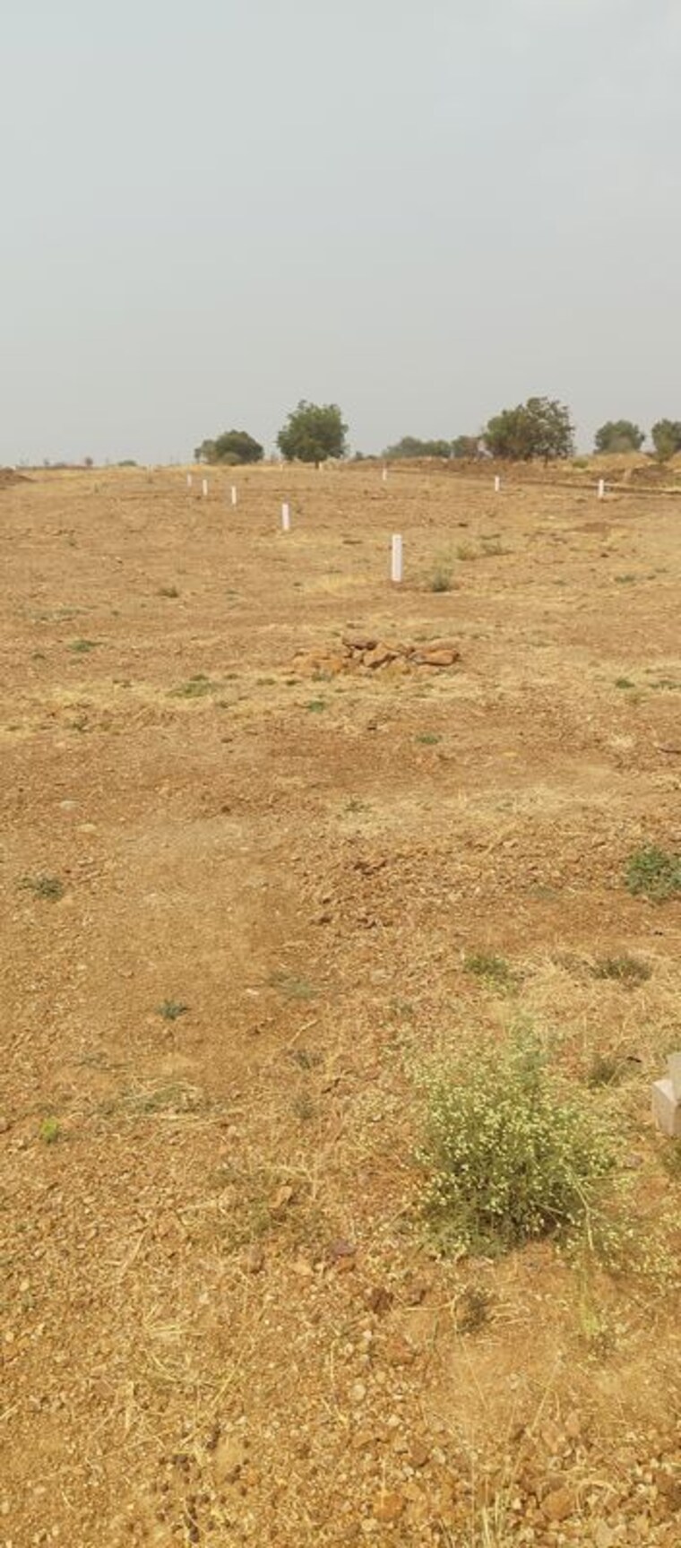 undefined, sangareddy  150 Sq.Yd. Plot In Sangareddy Hyderabad 10149470