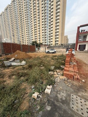  Warehouse – Exterior View View at Tulip Yellow, Sector 69 - for Rent