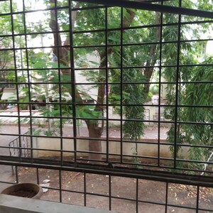 Balcony in 2 BHK Apartment at Shriram Nagar CHS, Aundh – for Rent