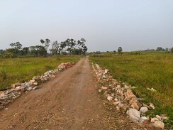 Plot For Sale in Sector 89