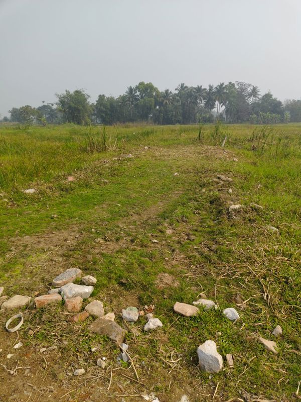 Plot For Sale in Sector 89