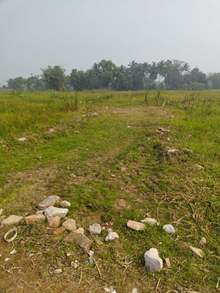 undefined, sector 89  5447 Sq.Ft. Plot In Sector 89 Mohali 10150245