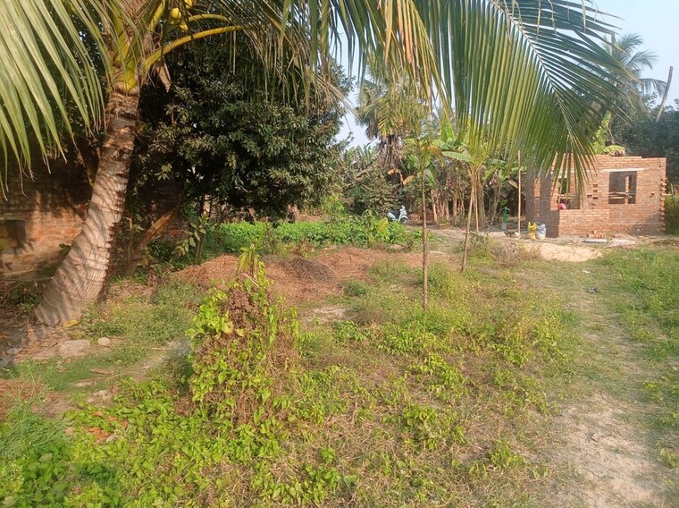 undefined, sonarpur  1445 Sq.Ft. Plot In Sonarpur Kolkata 10126747