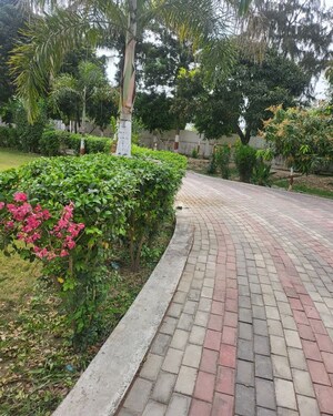  Plot – Exterior View View at Kashi Green City, Kailashpuri Colony - for Sale