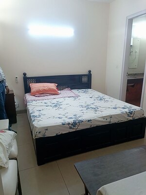 2 BHK Apartment For Rent in Eros Wembley Estate, Sector 50