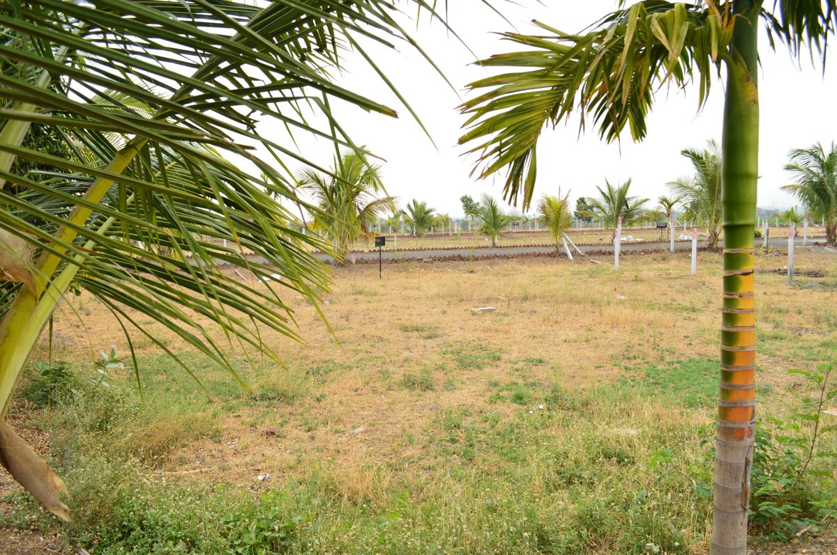 Plot For Sale in Kesnand