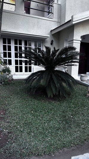 3 BHK Villa – Exterior View View at Adarsh Palm Meadows, Whitefield - for Rent