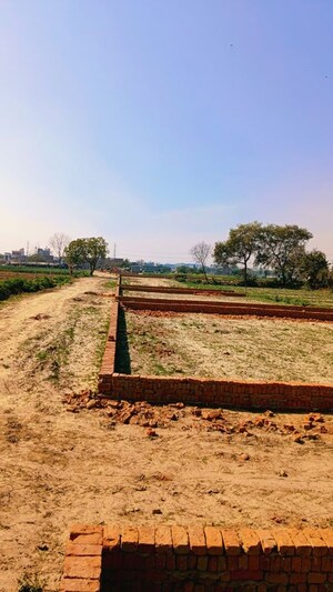  Plot For Sale in Sector 80