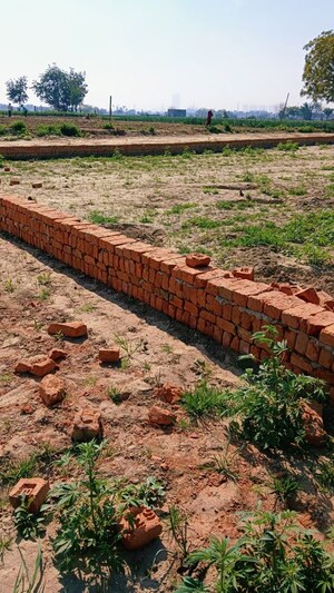 Plot Area in  Plot at Sector 80 – for Sale