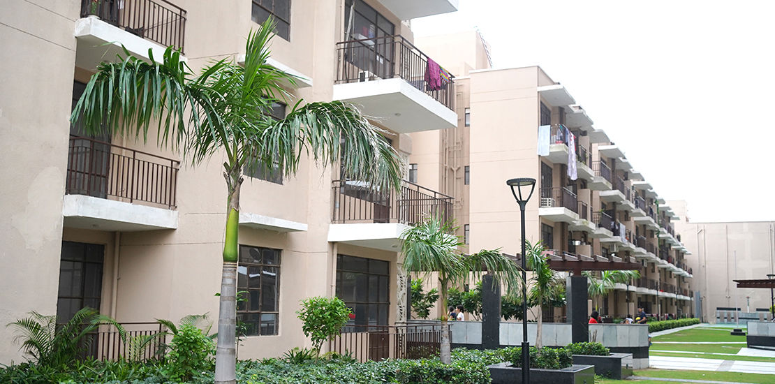 3 BHK + Study Room 1320 Sq.Ft. Apartment in Signature Global Synera