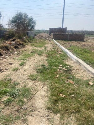 Plot Area in  Plot at Sector 144 – for Sale