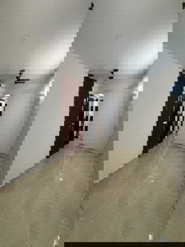 3 BHK + Study Room 1120 Sq.Ft. Builder Floor in Signature Global Park 4 and 5