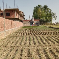 Plot For Sale in Parmanandpur