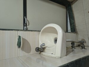 Bathroom in 1 BHK Apartment at Kurla East – for Rent