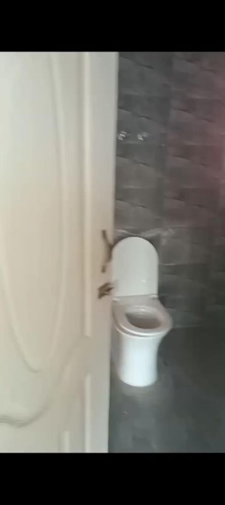 Bathroom, migsun-roof 2 Bedroom 815 Sq.Ft. Apartment In Raj Nagar Extension Ghaziabad 10152351