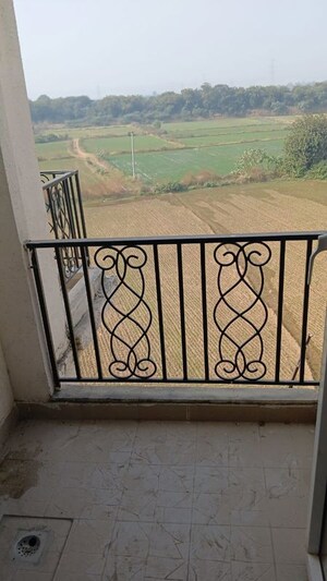2 BHK Apartment For Rent in Signature The Serenas, Sohna Sector 36