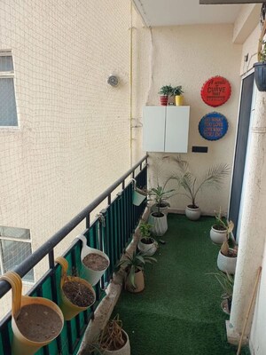 Balcony in 3 BHK Apartment at Paramount Floraville, Sector 137 – for Sale