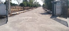 Plot For Sale in Shadnagar
