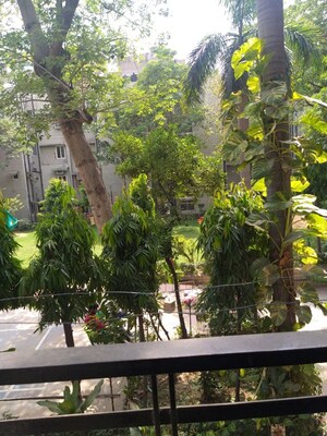1.5 BHK Apartment – Garden View at Ip Extension - for Rent