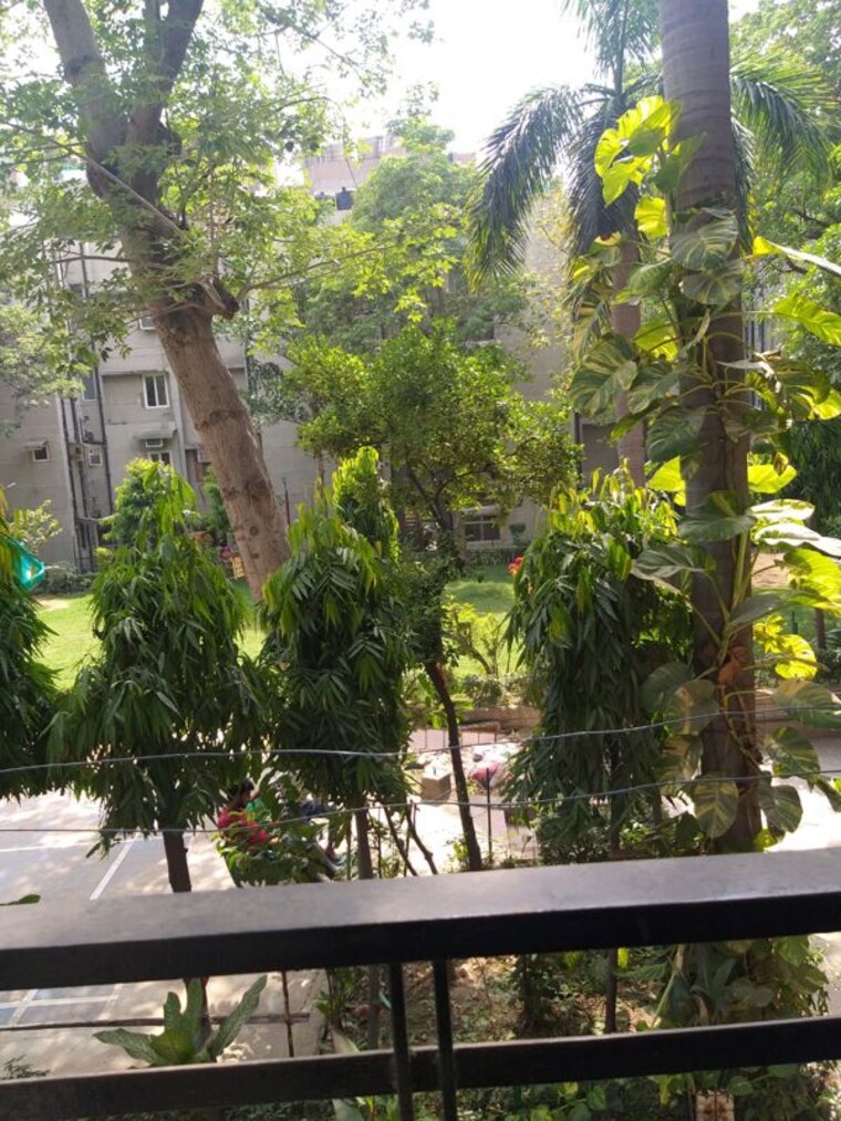 Garden, ip extension 1.5 Bedroom 750 Sq.Ft. Apartment In Ip Extension Delhi 10153237