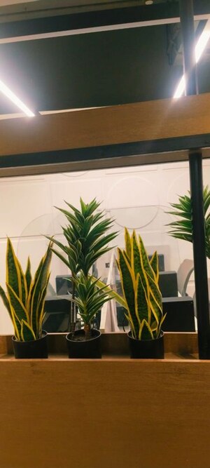 Floor Plan in  Office Space at Kirti Nagar – for Rent