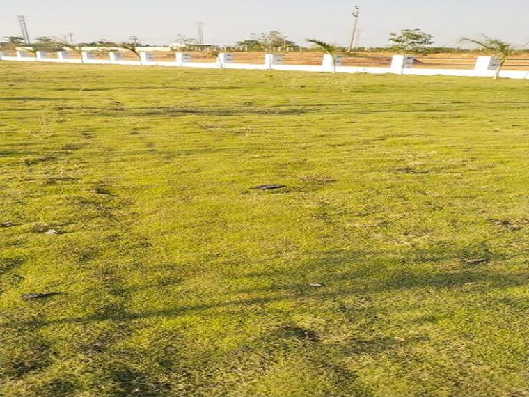 Garden, sector 34 greater noida  1084 Sq.Ft. Plot In Sector 34 Greater Noida Greater Noida 10153588