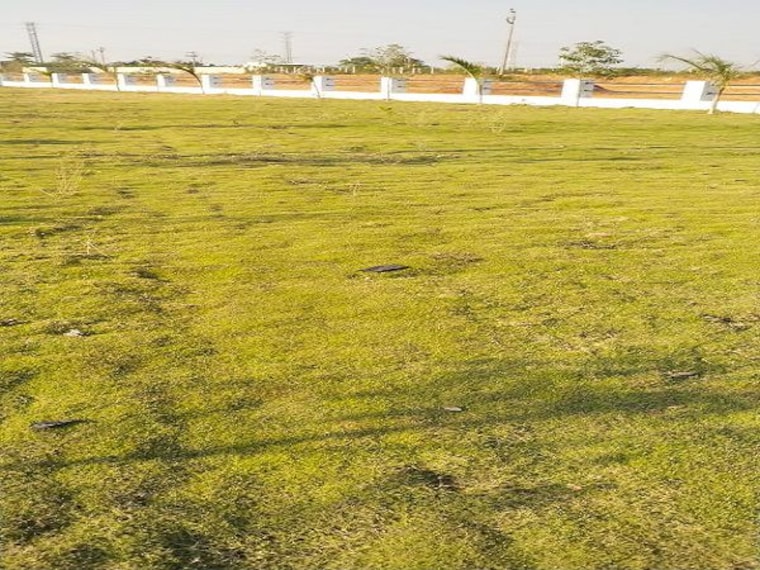 Garden, sector 34 greater noida  1256 Sq.Ft. Plot In Sector 34 Greater Noida Greater Noida 10153629