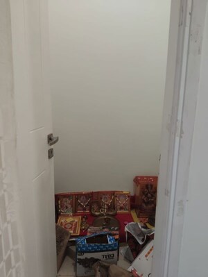 2 BHK Apartment For Rent in Ajnara Ambrosia, Sector 118