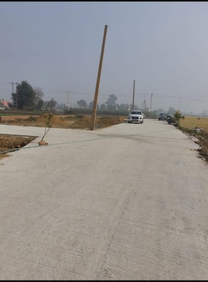 Plot Area in  Plot at Harhua – for Sale