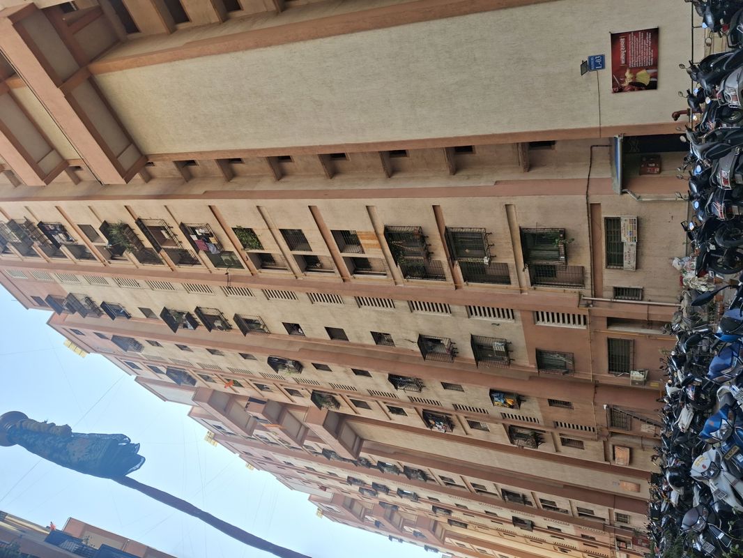 1 BHK Apartment For Rent in Meghmalhar CHS Ghansoli
