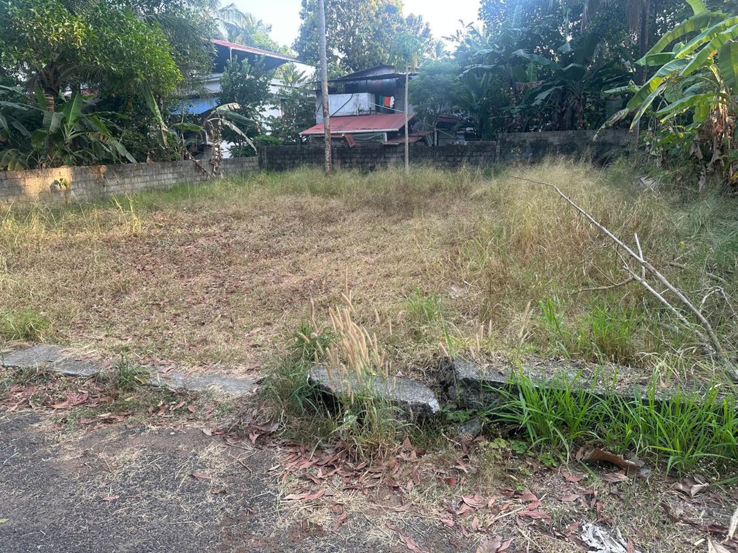 Plot For Sale in Mundoor