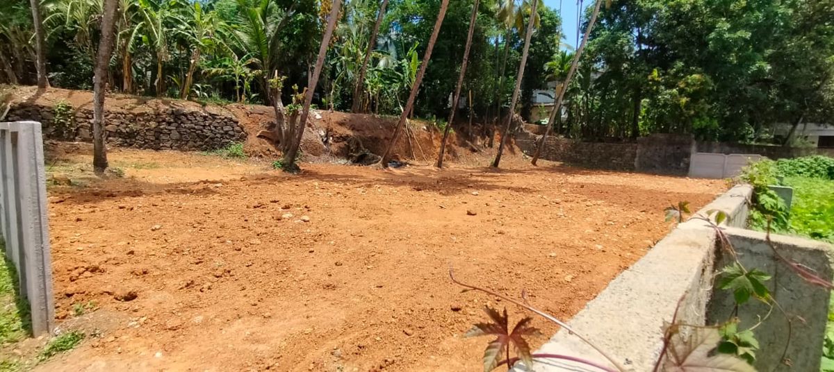 Plot For Sale in Viyyur