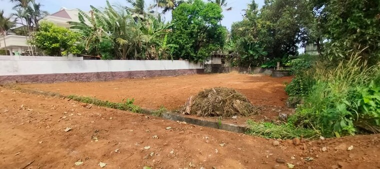 undefined, ollur  4793 Sq.Ft. Plot In Ollur Thrissur 10156081
