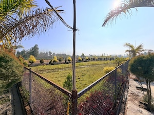  Plot For Sale in Biharigarh