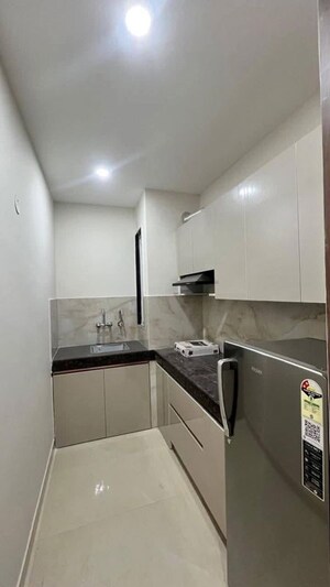 Kitchen in 1 BHK Apartment at Saket – for Rent
