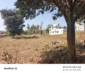 Plot Area in  Plot at Sarjapur – for Sale