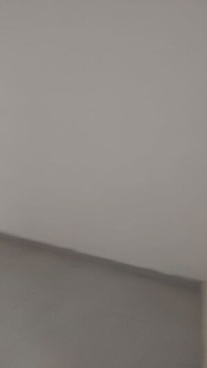 2.5 BHK Builder Floor For Rent in Mayur Vihar