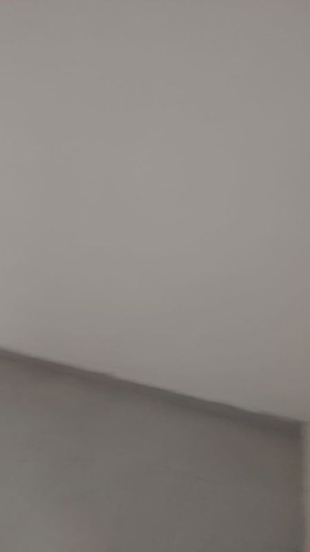 2.5 BHK Builder Floor For Rent in Mayur Vihar