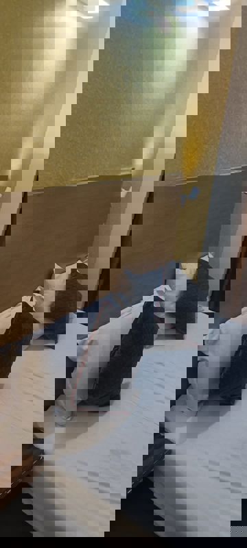 2 BHK + Pooja Room 1000 Sq.Ft. Apartment in Shree Vardhman Mantra