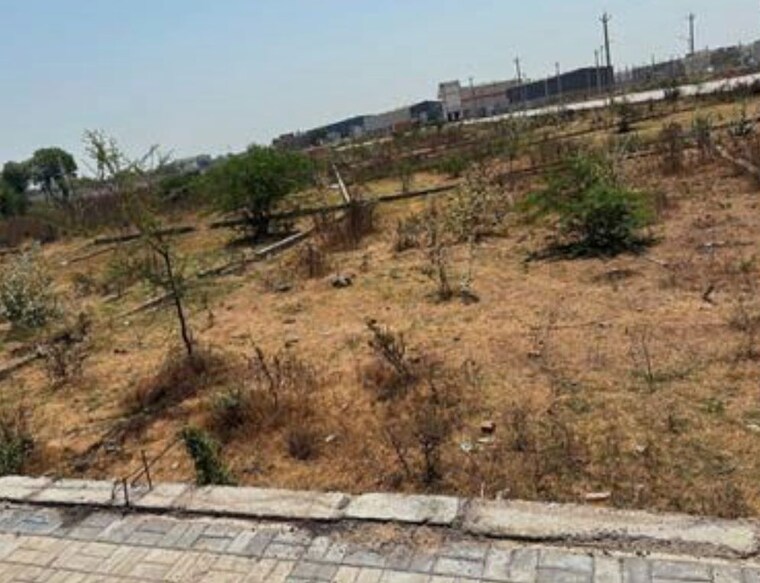 undefined, dadri Commercial Industrial Plot 800 Sq.Yd. In Dadri Greater Noida 10157097