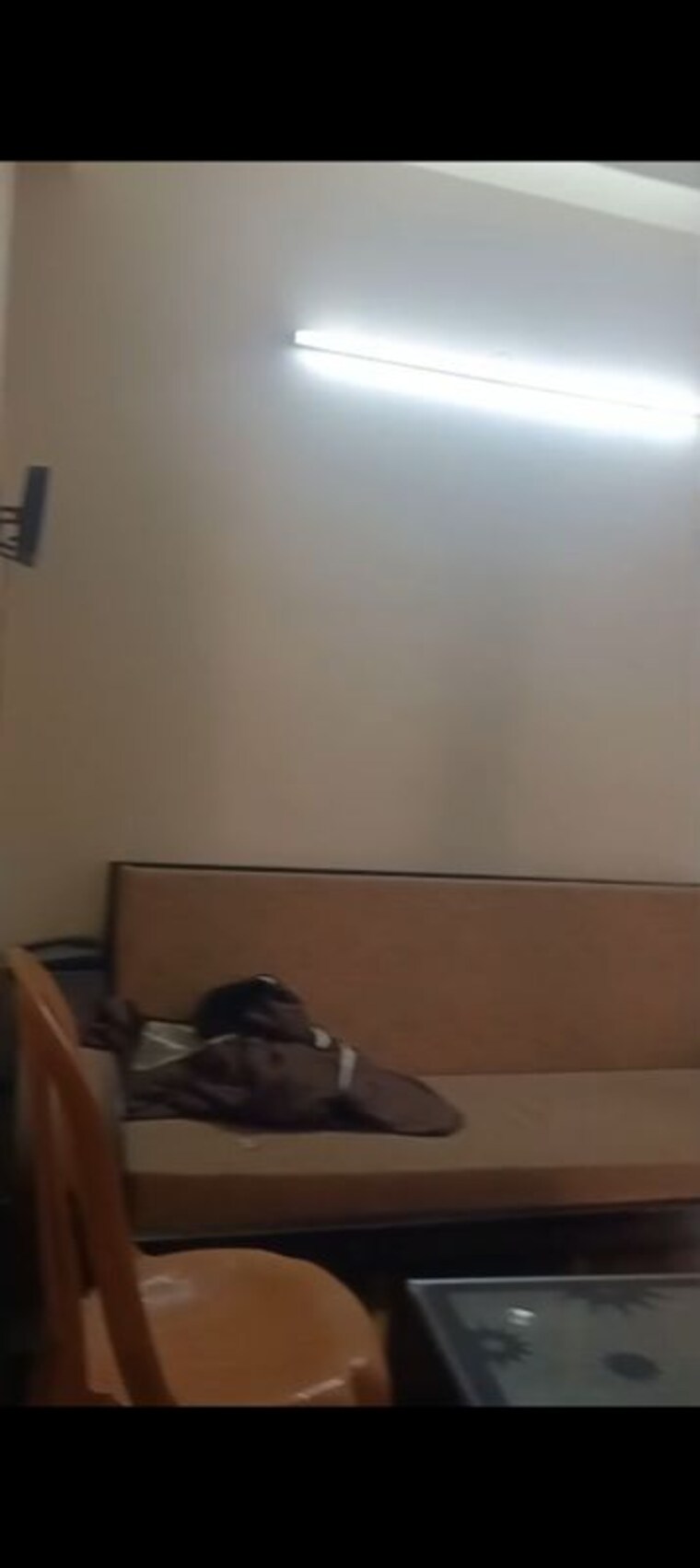 undefined, hawelia-valencia-square 2.5 Bedroom 1100 Sq.Ft. Apartment In Sector 1 Greater Noida Greater Noida 10157101