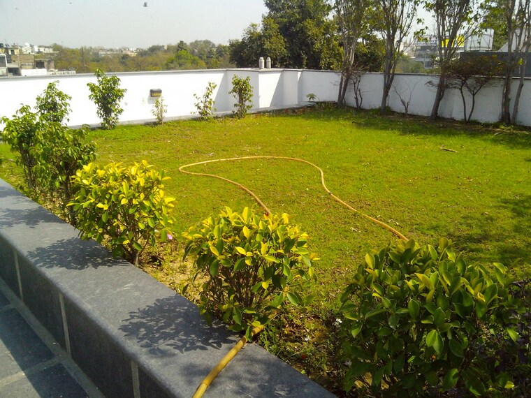Garden, defence colony 4 Bedroom 3000 Sq.Ft. Builder Floor In Defence Colony Delhi 10157147