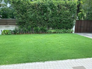 6+ BHK Villa – Garden View at Hauz Khas - for Rent