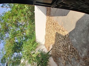 Balcony in 4 BHK Independent House at Manish Nagar – for Sale