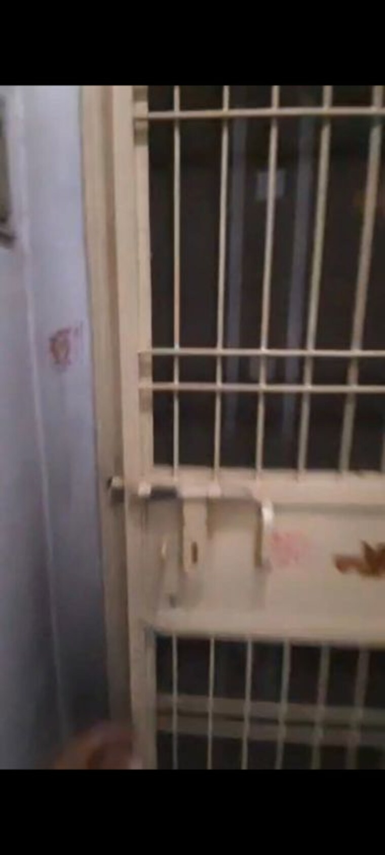 Balcony, maan-heights 2 Bedroom 950 Sq.Ft. Builder Floor In Gaur City 1 Greater Noida 10157559