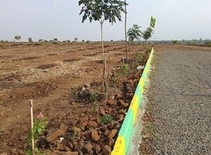 Plot Area in  Plot at Kandi – for Sale