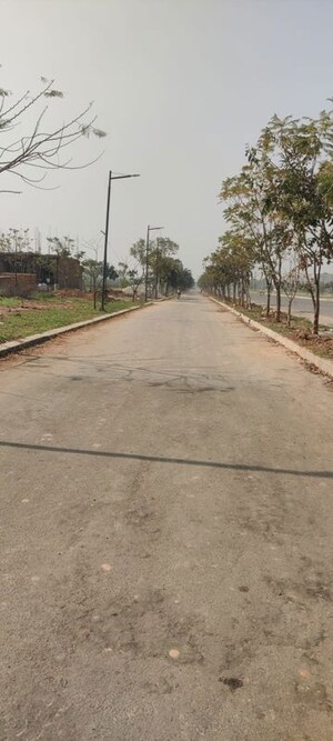  Plot – Exterior View View at Mullanpur - for Sale