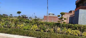 Plot Area in  Plot at Mullanpur – for Sale