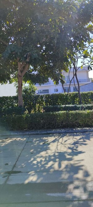  Plot – Exterior View View at Mullanpur - for Sale