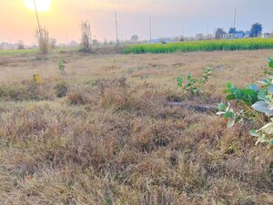  Plot For Sale in Pocket 1a